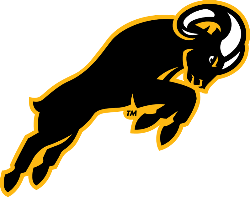 Virginia Commonwealth Rams 2014-Pres Secondary Logo v2 diy fabric transfer